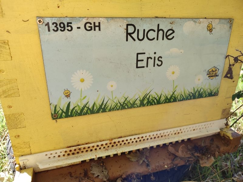 La ruche Eris
