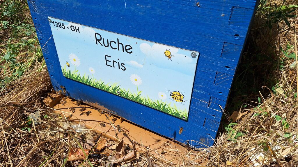 La ruche Eris
