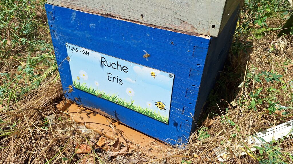 La ruche Eris