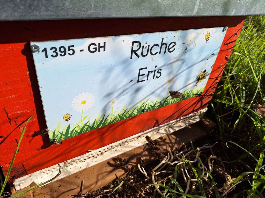La ruche Eris