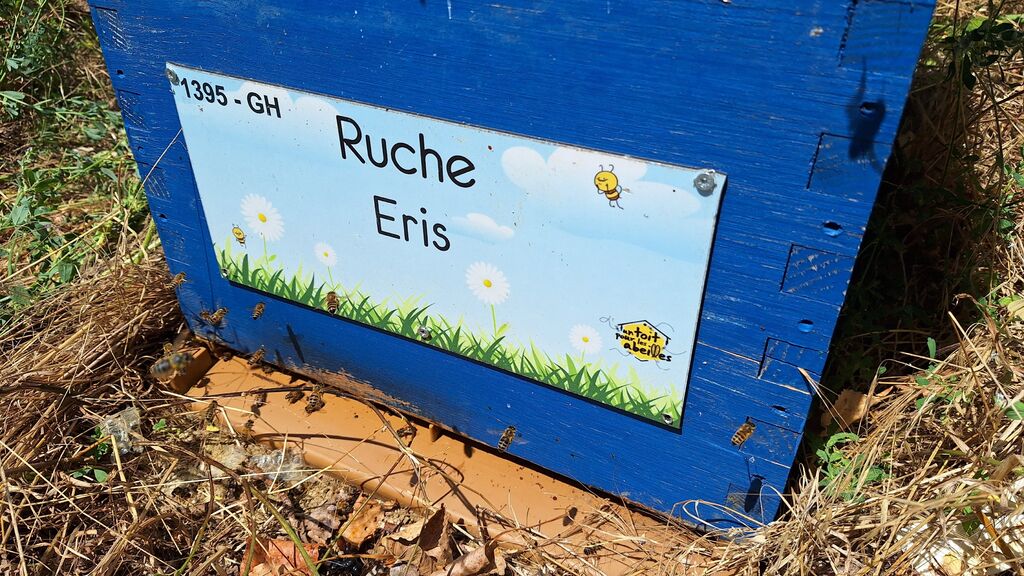 La ruche Eris