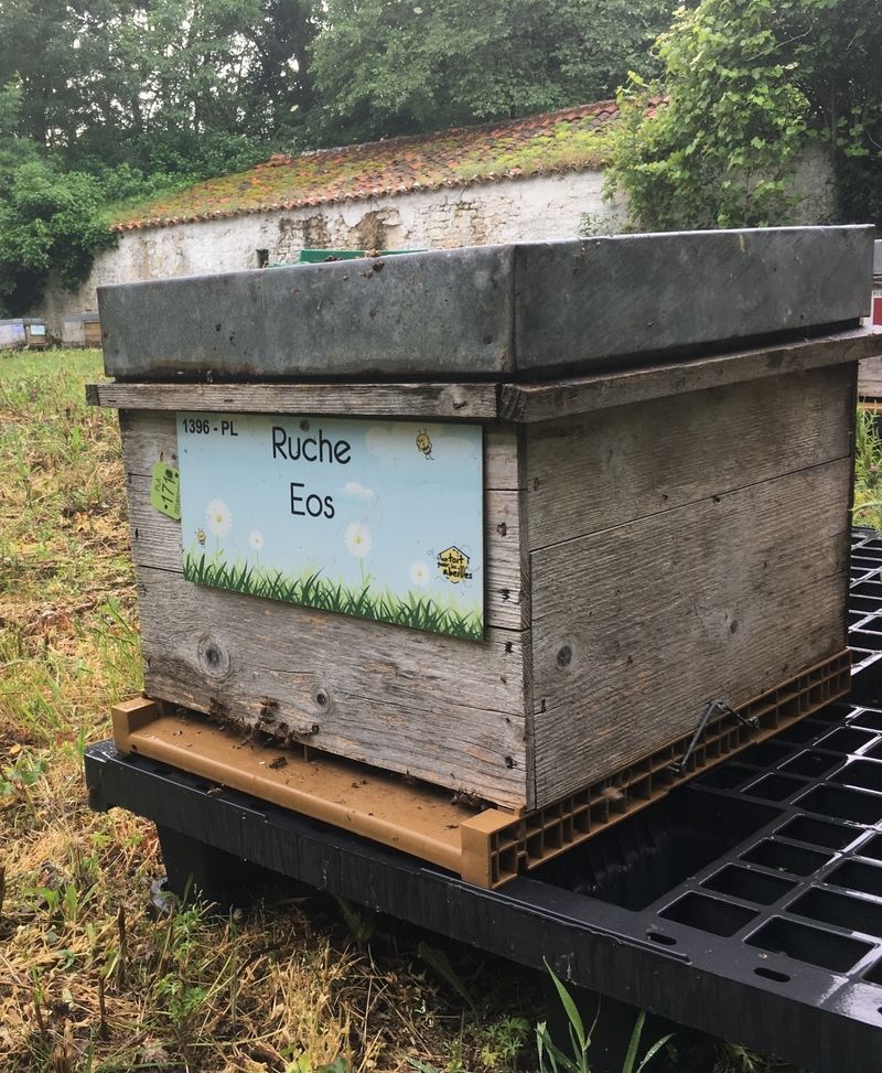 La ruche Eos