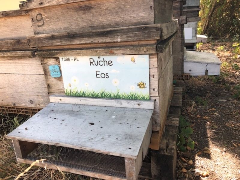 La ruche Eos