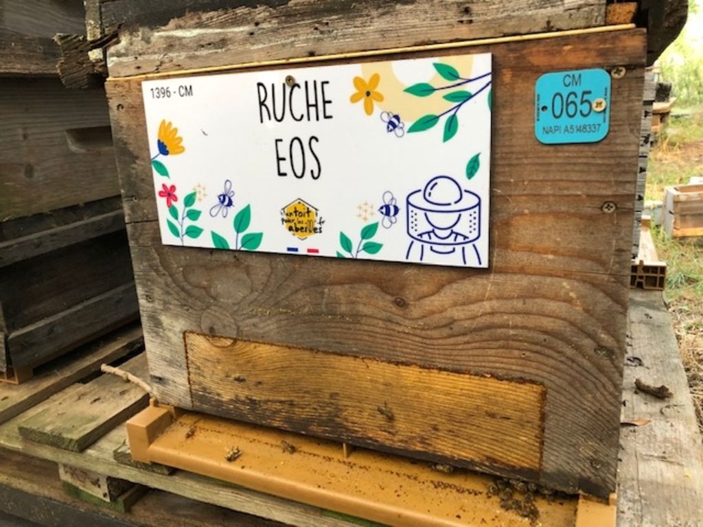 La ruche Eos