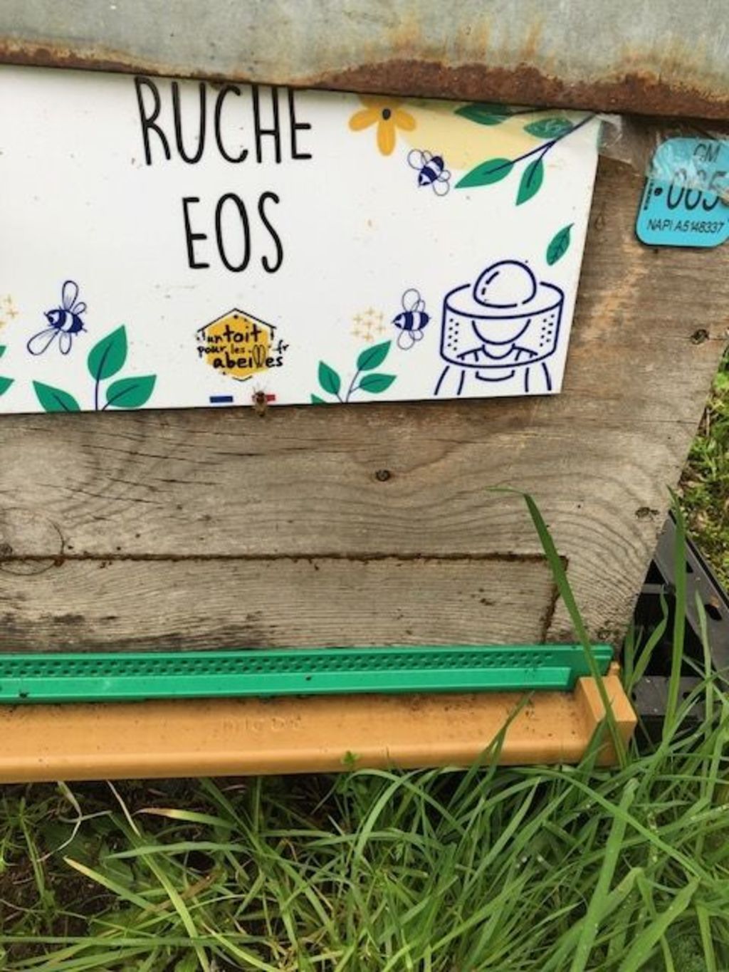 La ruche Eos