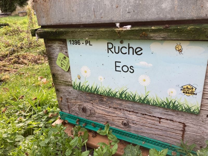 La ruche Eos