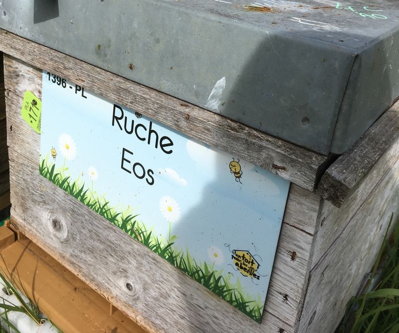 La ruche Eos
