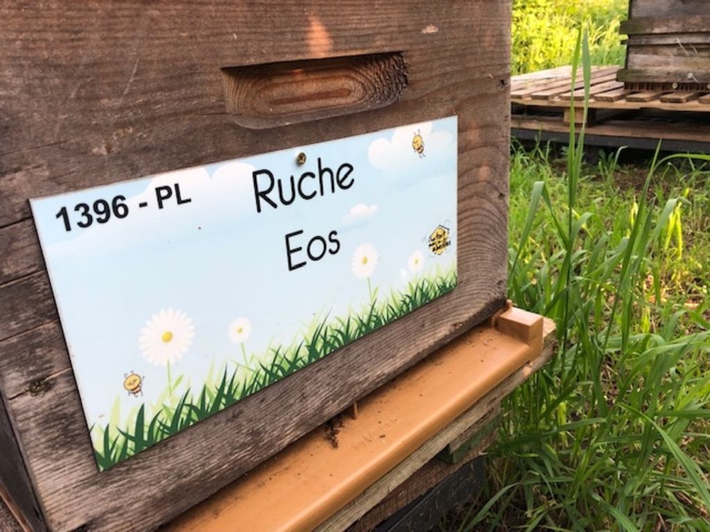 La ruche Eos