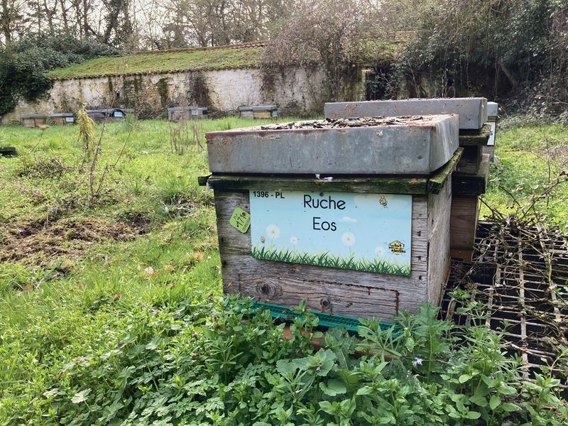 La ruche Eos