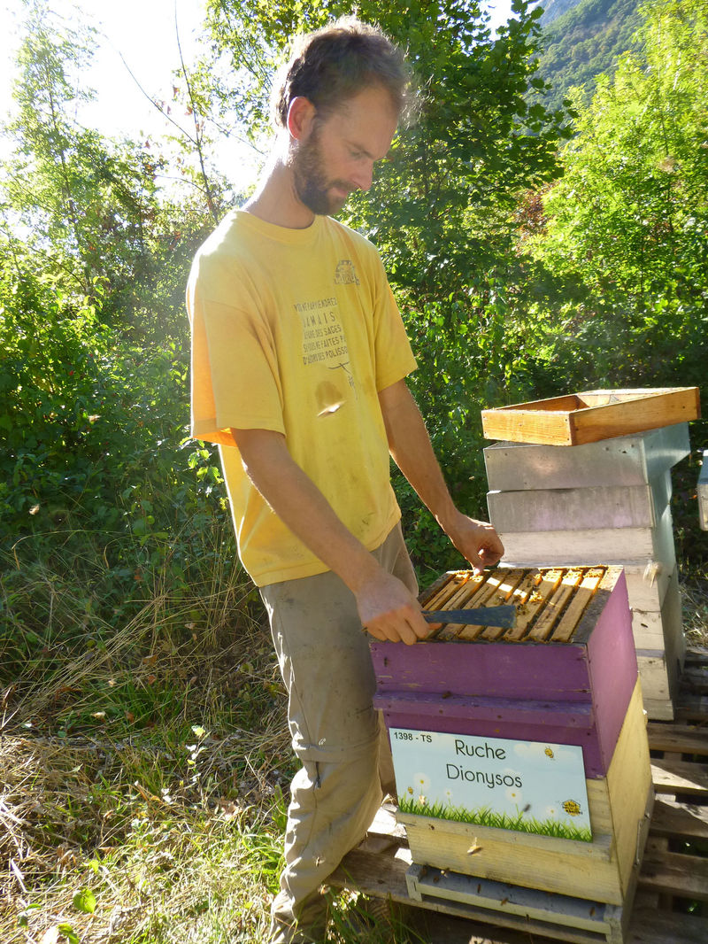 La ruche Dionysos