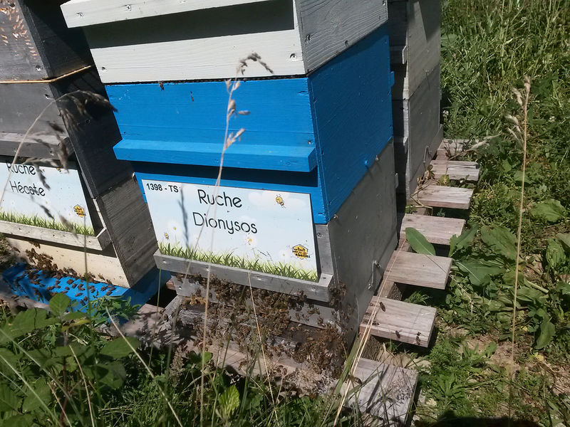 La ruche Dionysos