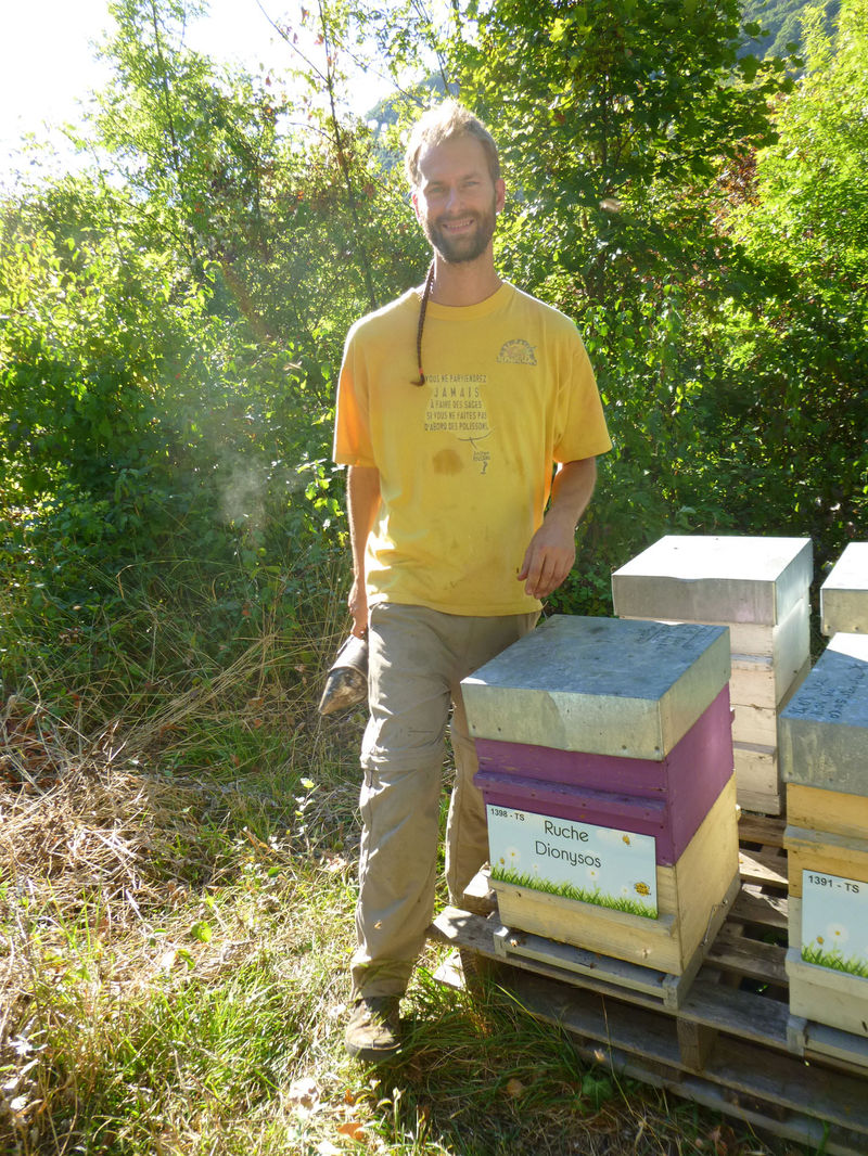 La ruche Dionysos