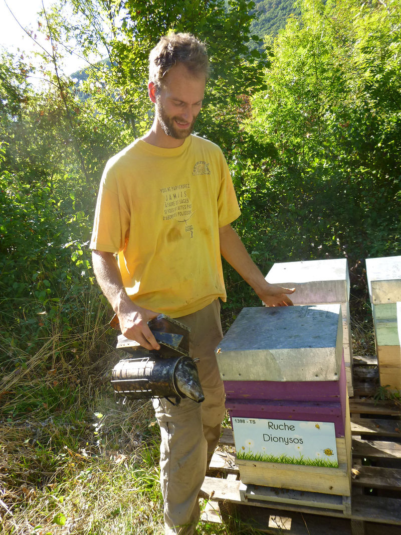 La ruche Dionysos