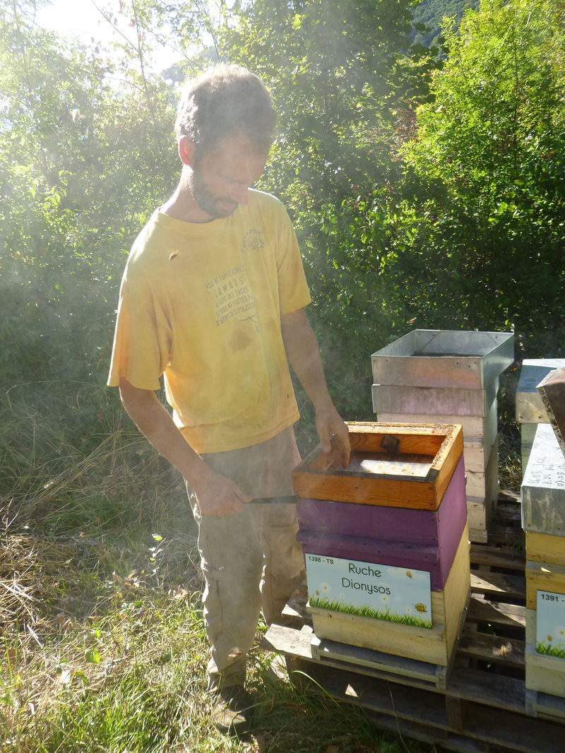 La ruche Dionysos