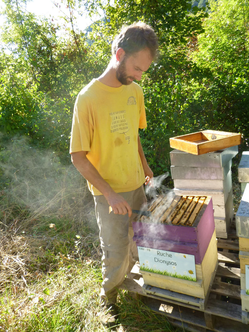 La ruche Dionysos