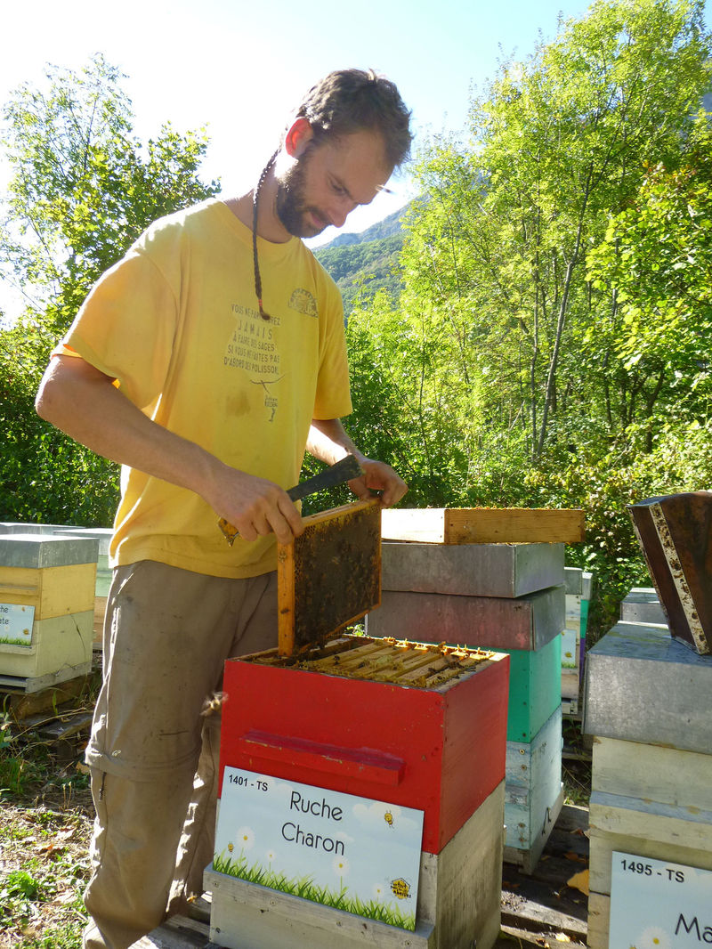 La ruche Charon