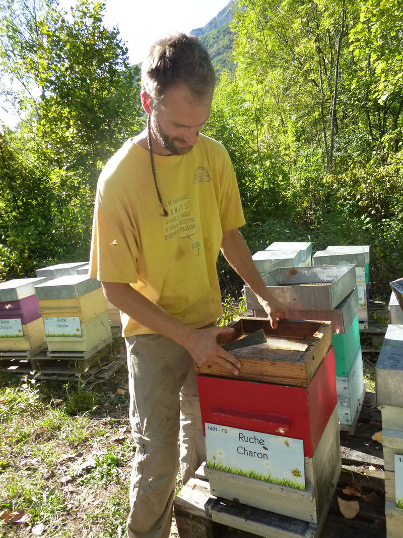 La ruche Charon
