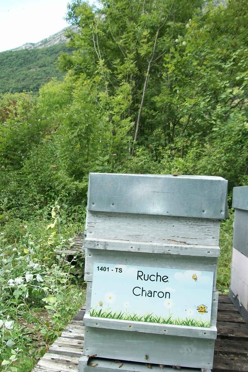 La ruche Charon