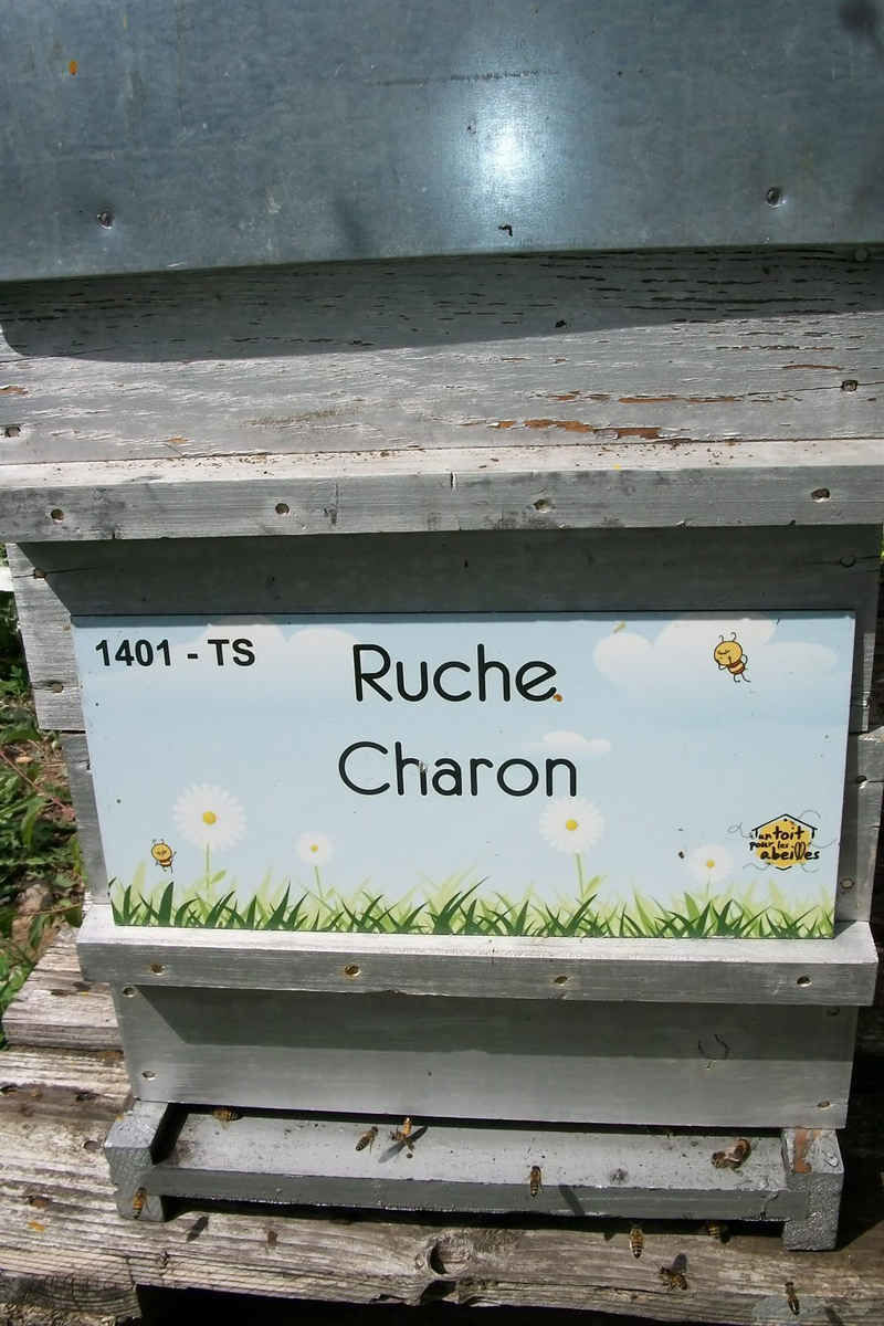 La ruche Charon