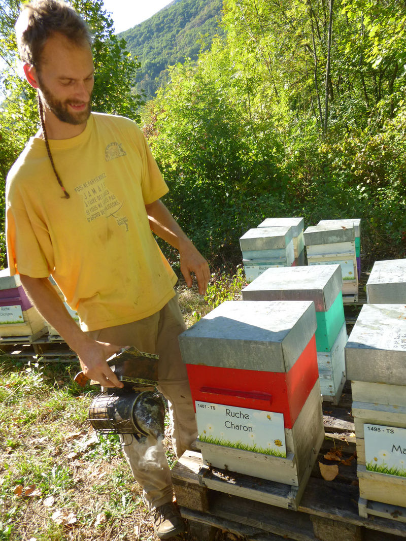 La ruche Charon