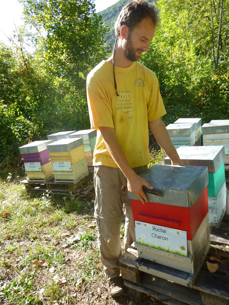 La ruche Charon