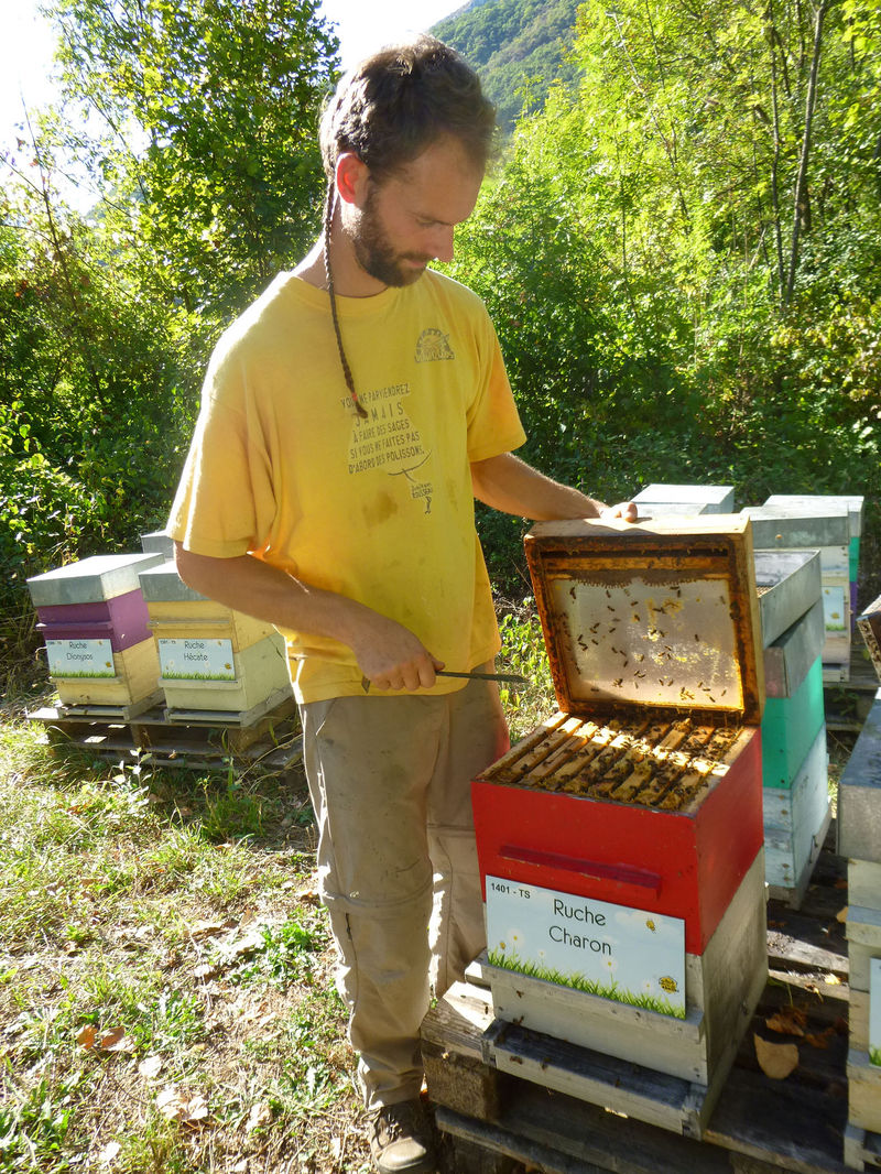 La ruche Charon