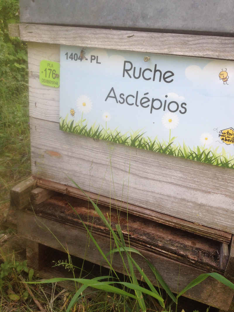 La ruche Asclépios