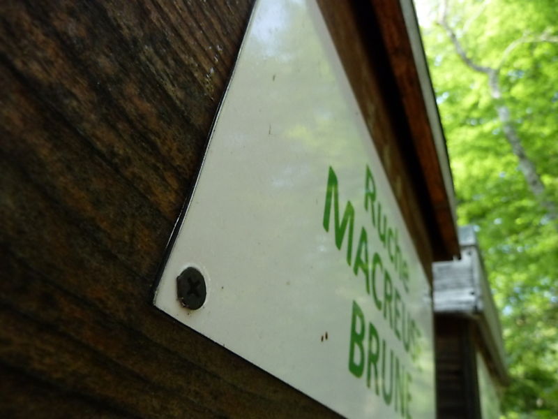 La ruche Macreuse brune