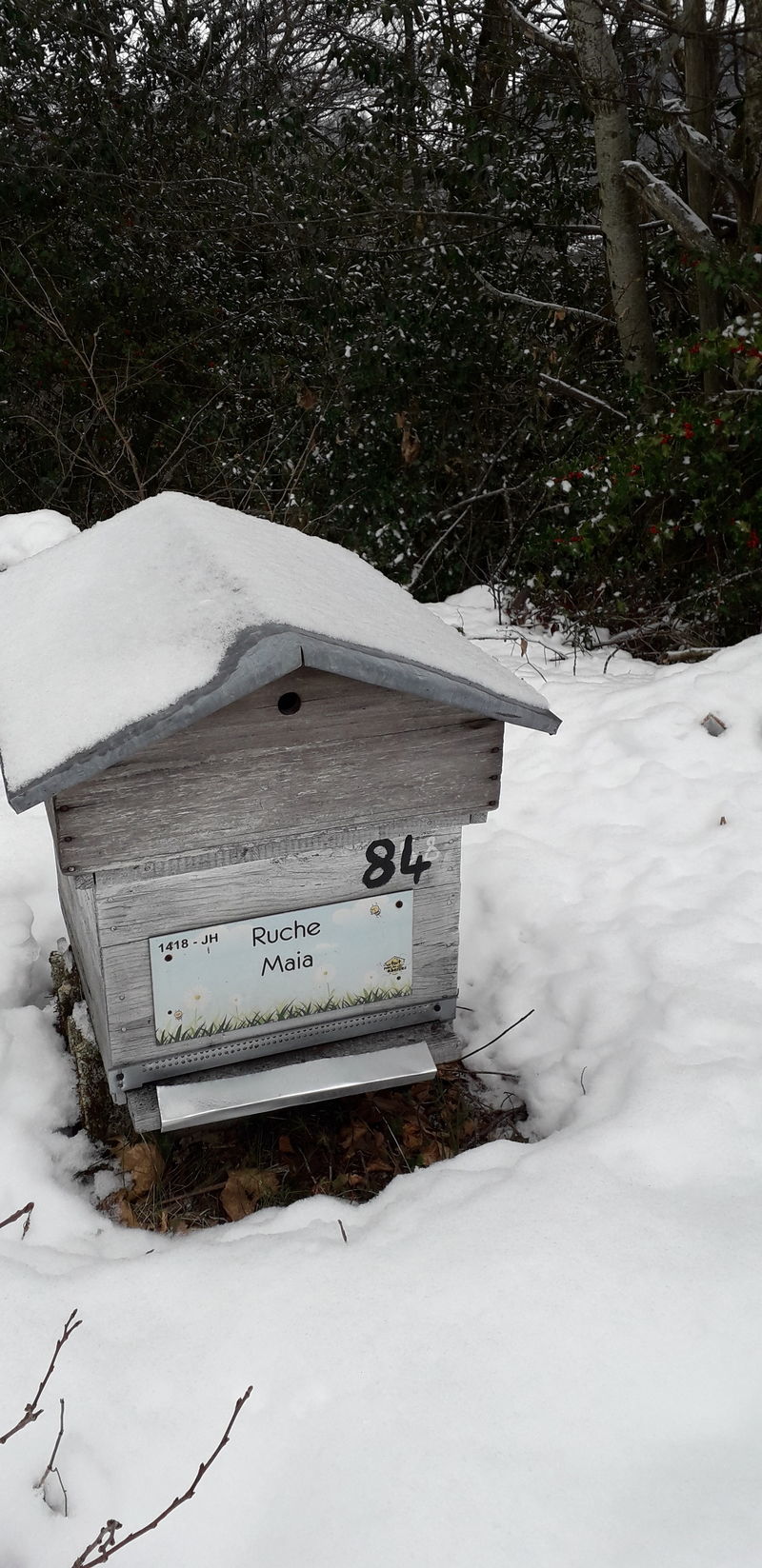 La ruche Maia