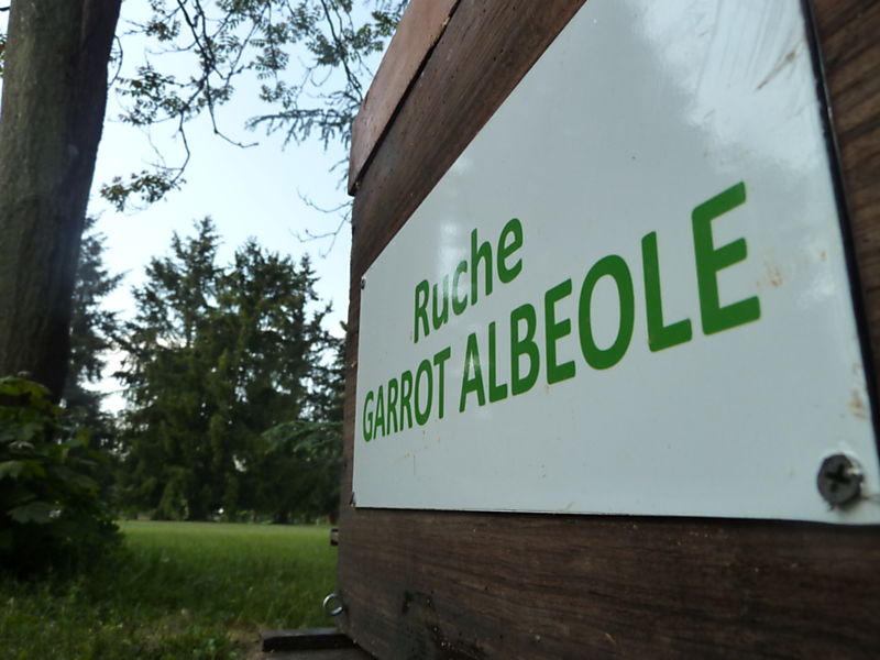 La ruche Garrot albeole