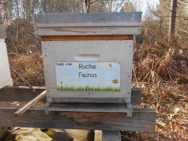 La ruche Faunus