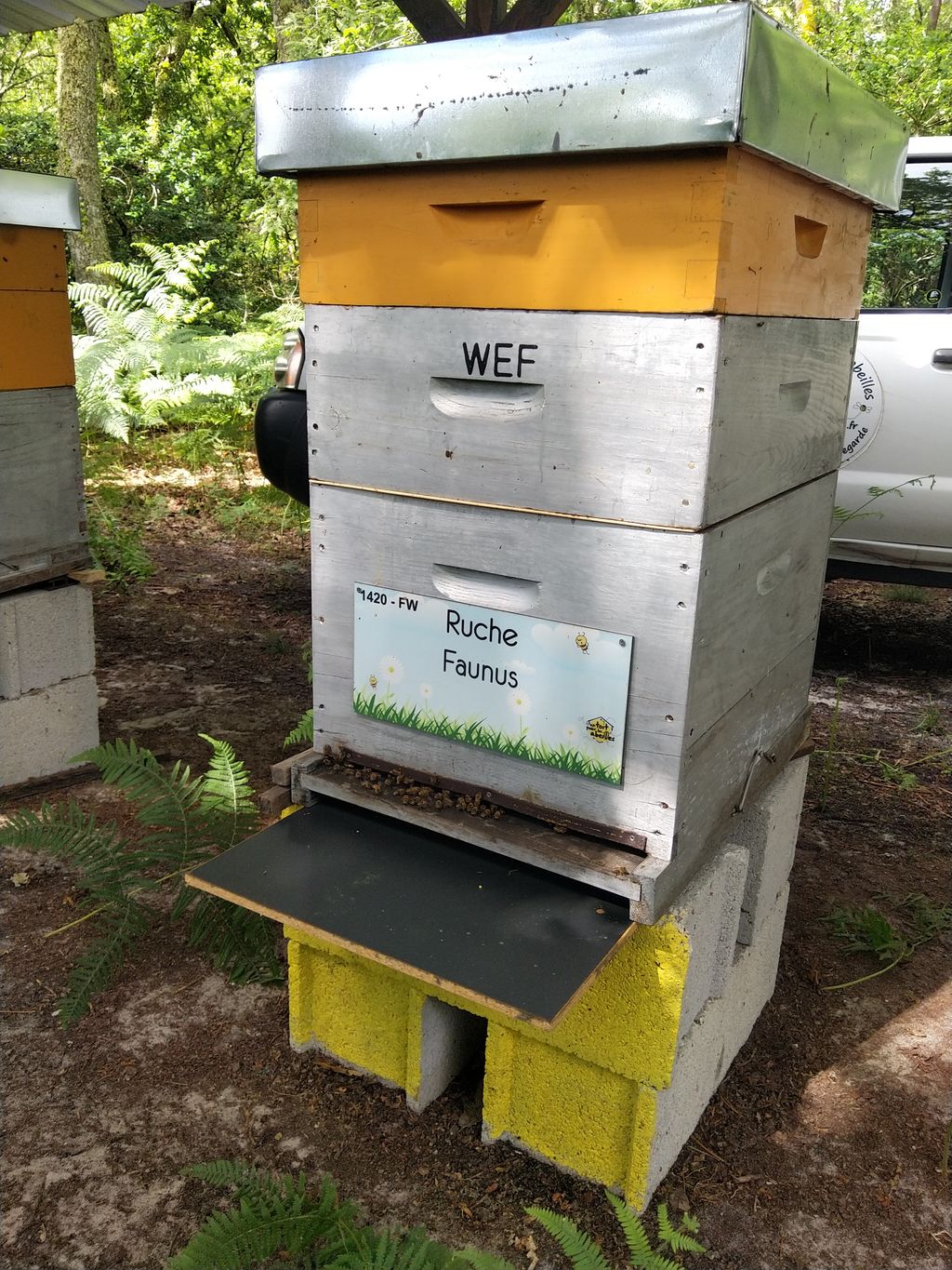 La ruche Faunus
