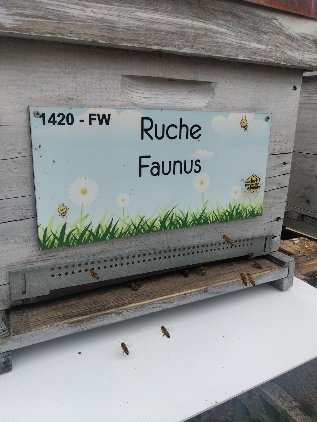 La ruche Faunus
