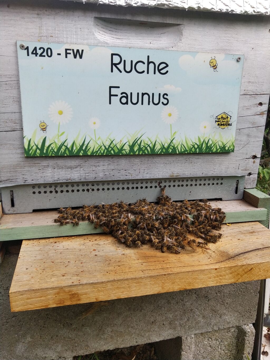 La ruche Faunus
