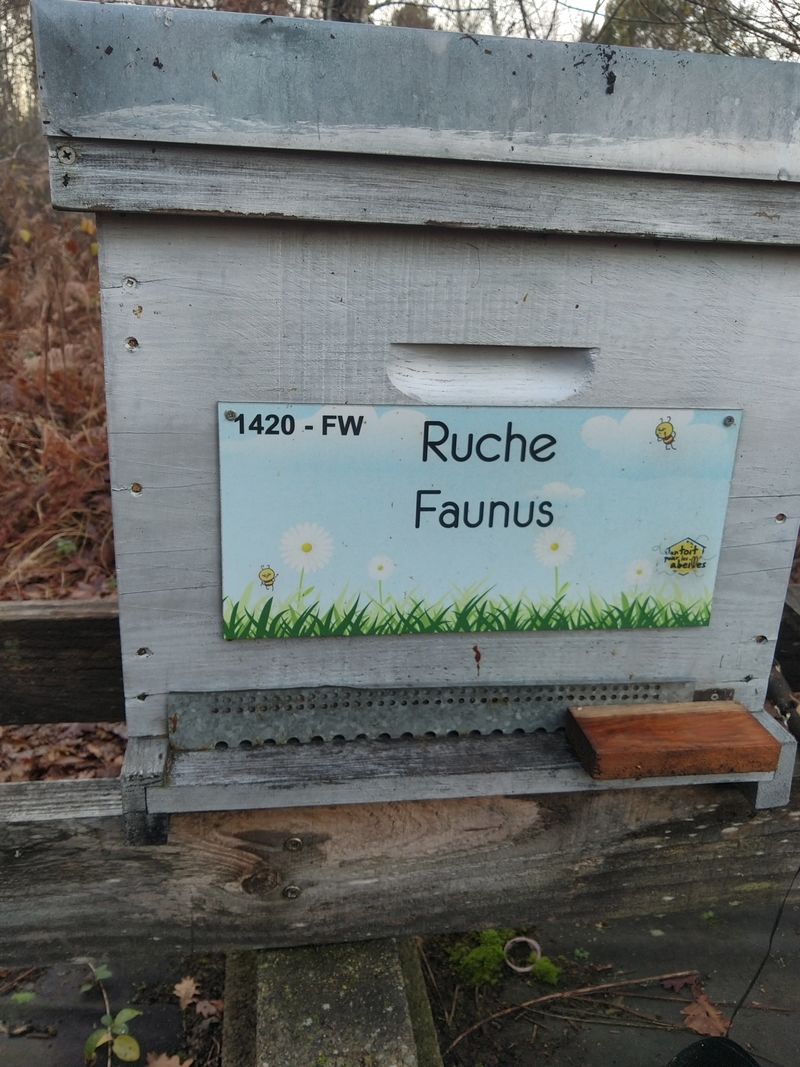 La ruche Faunus