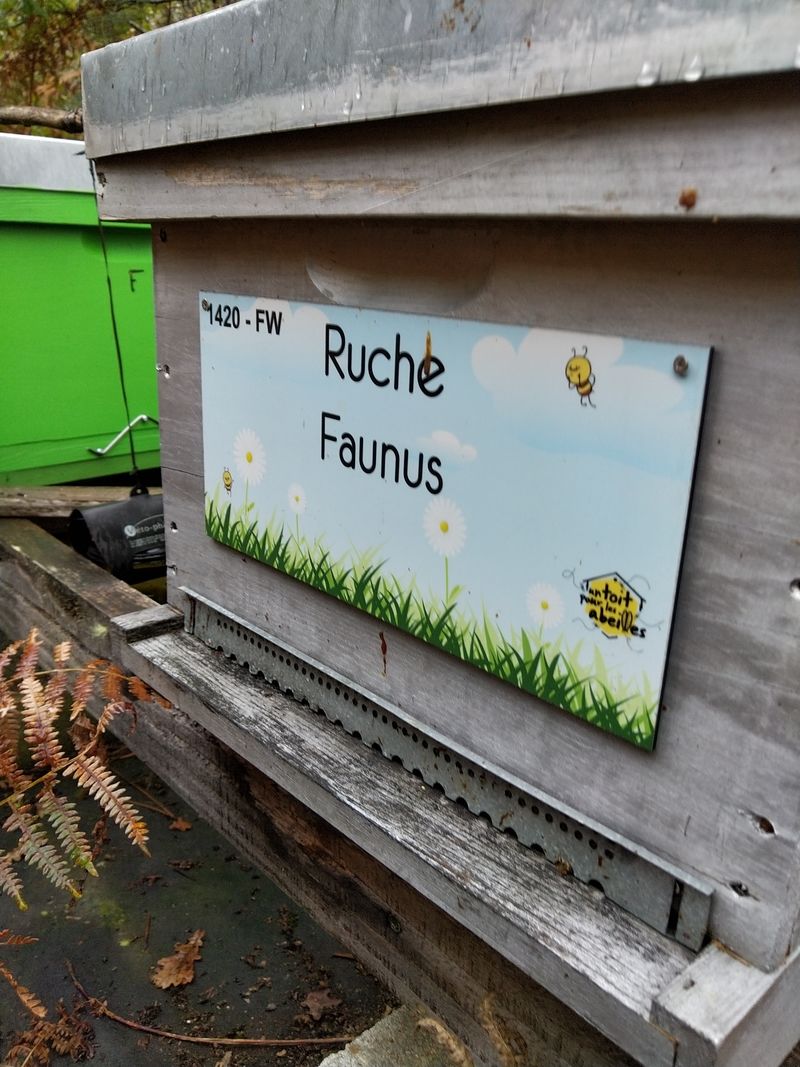 La ruche Faunus