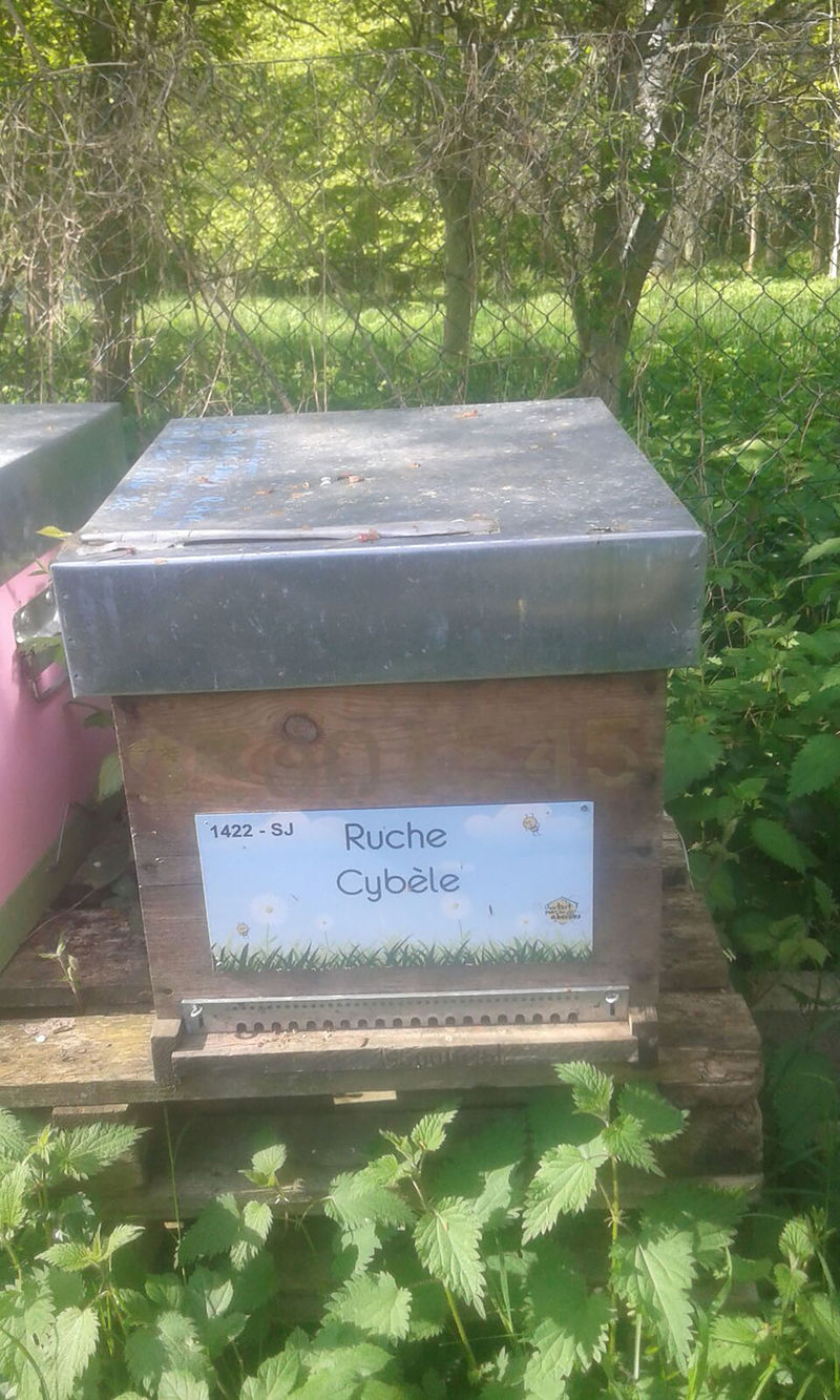 La ruche Cybèle