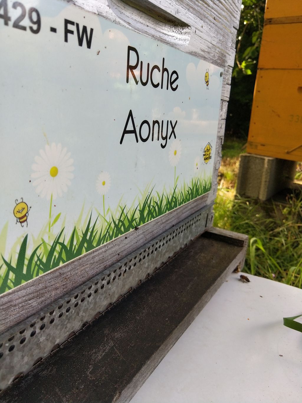 La ruche Aonyx