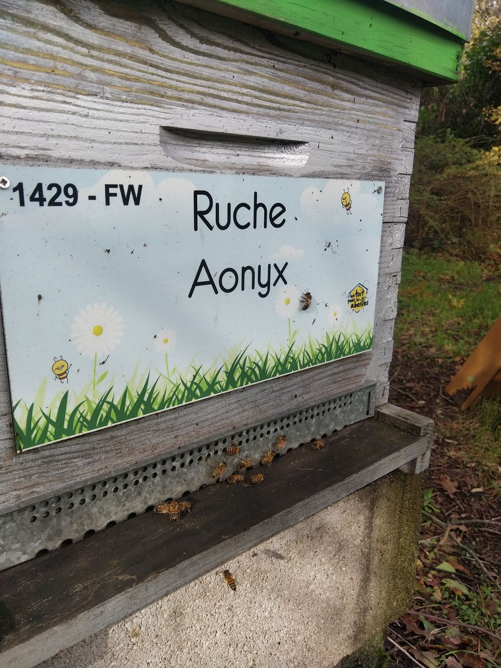 La ruche Aonyx