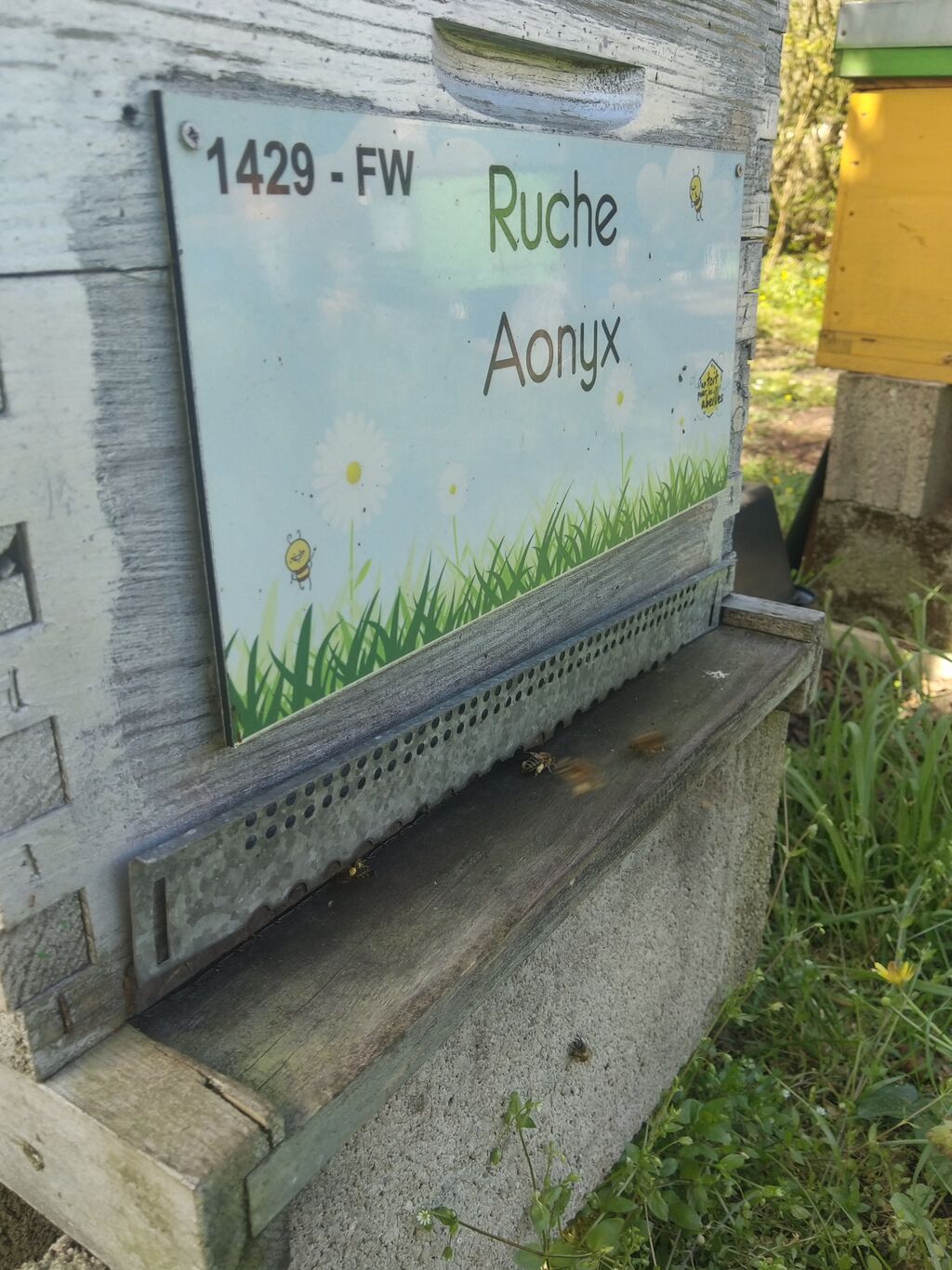 La ruche Aonyx