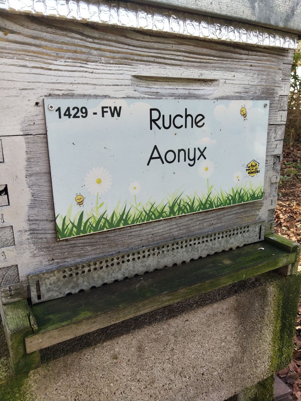 La ruche Aonyx