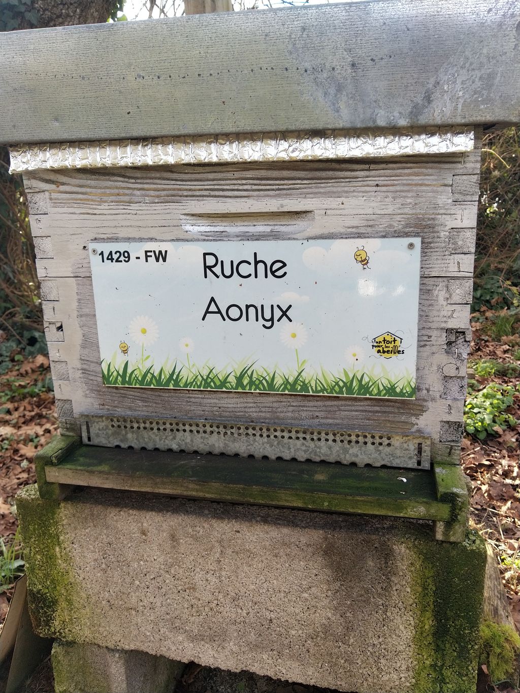 La ruche Aonyx