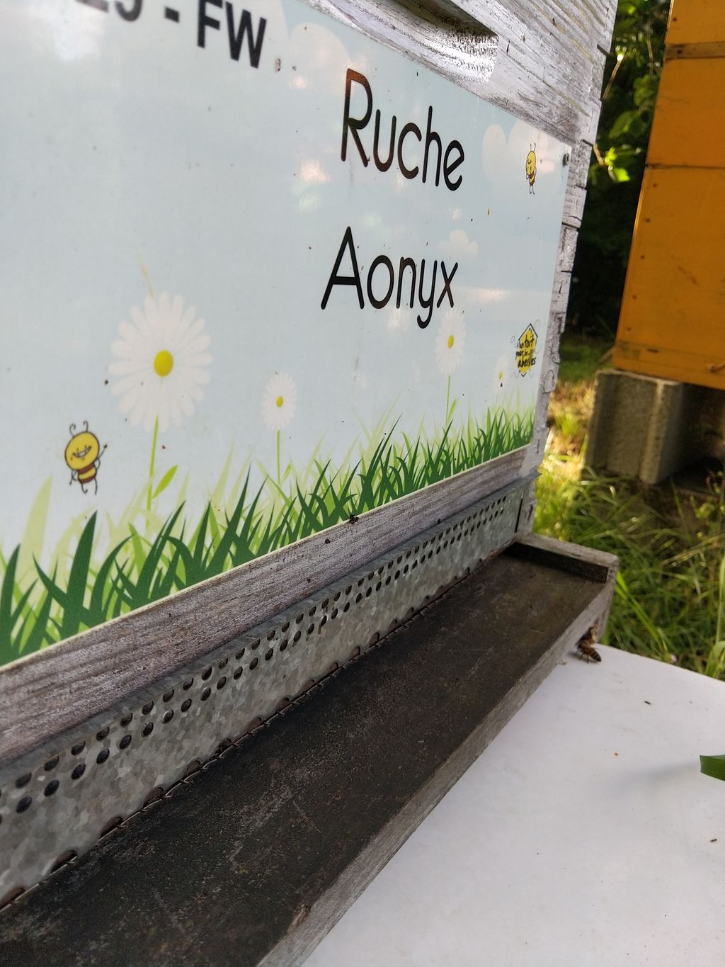 La ruche Aonyx