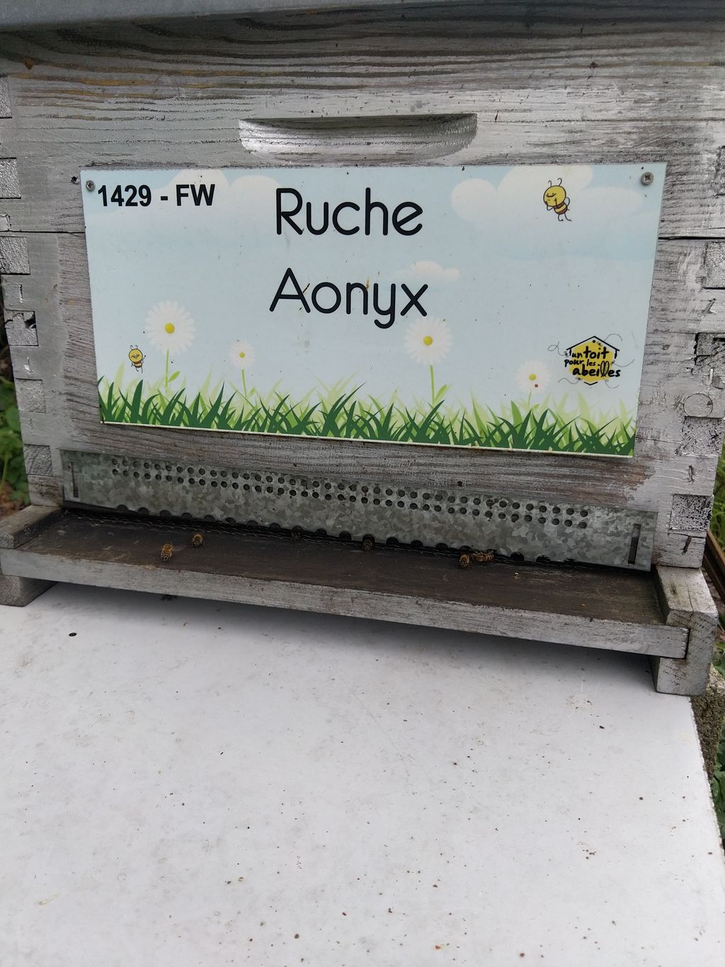La ruche Aonyx