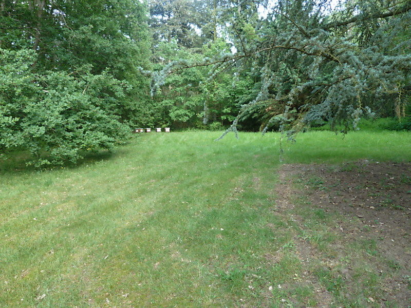 La ruche Harle piette