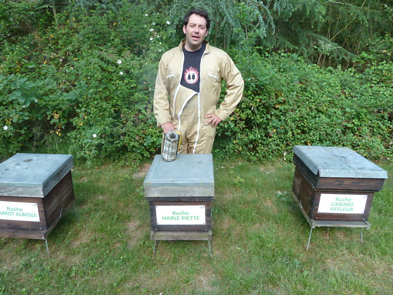 La ruche Harle piette