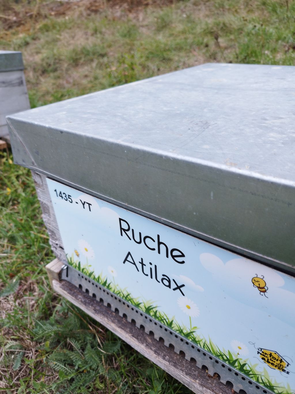 La ruche Atilax