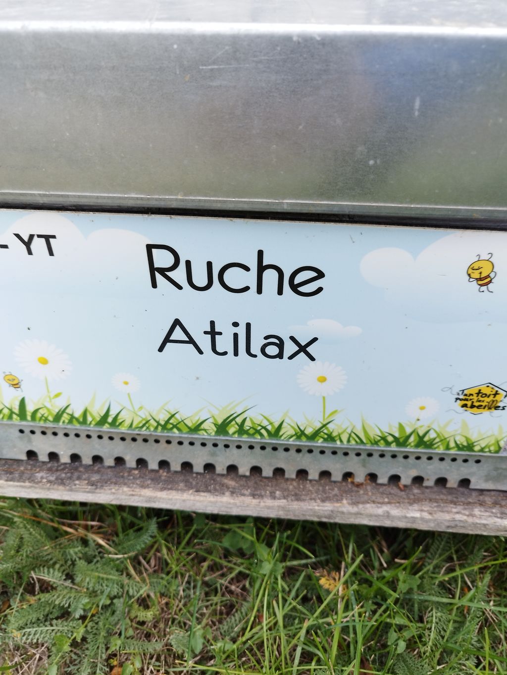 La ruche Atilax