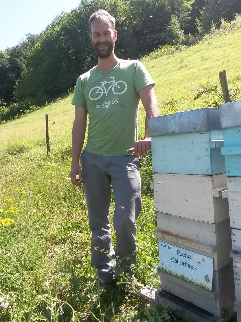 La ruche Callorhinus