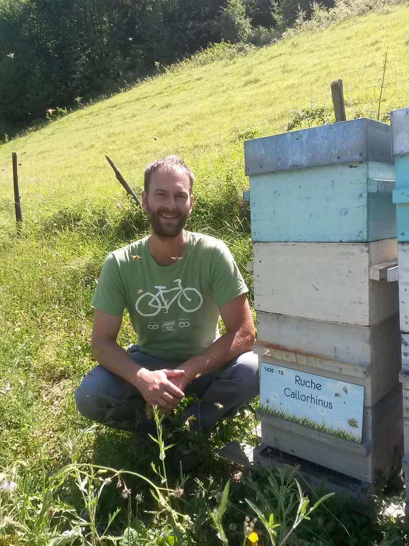 La ruche Callorhinus